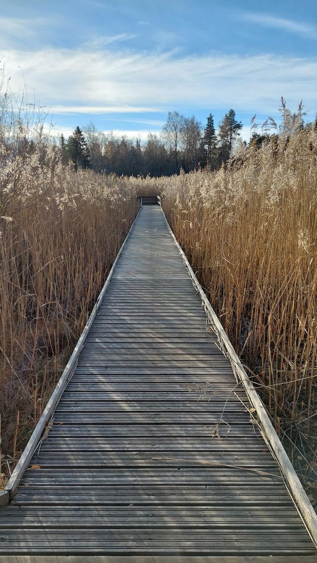 Sunday walk