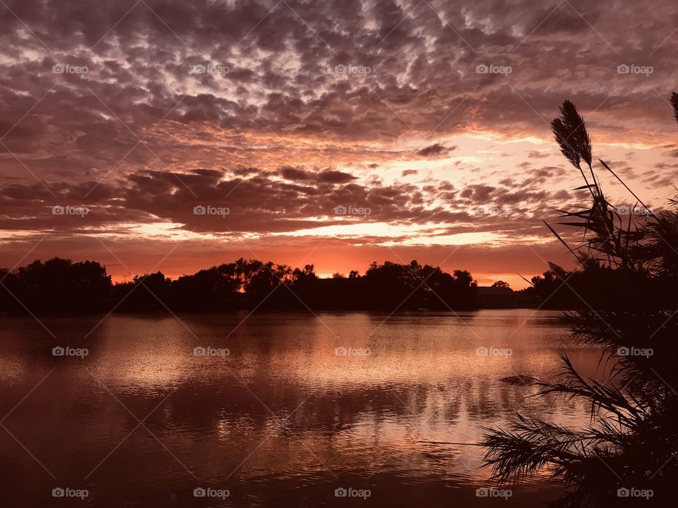 What a different photo. Everyday I go out to take pics I have a different setting for taking pics. This is one of those days. There is colors of the rainbow in this pic Extraordinary scenic view. Captivating Twilight, Night all inclusive Gorgeous.