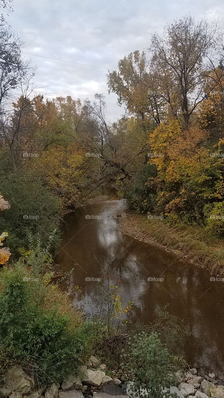 River in the Fall