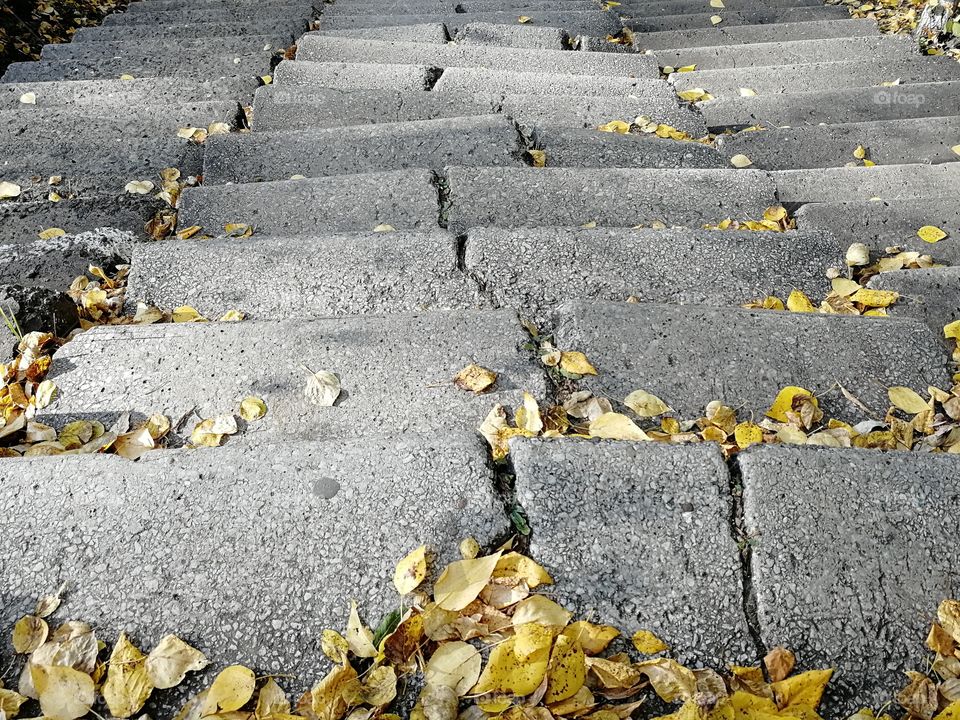 Autumn leaves on the stairs.