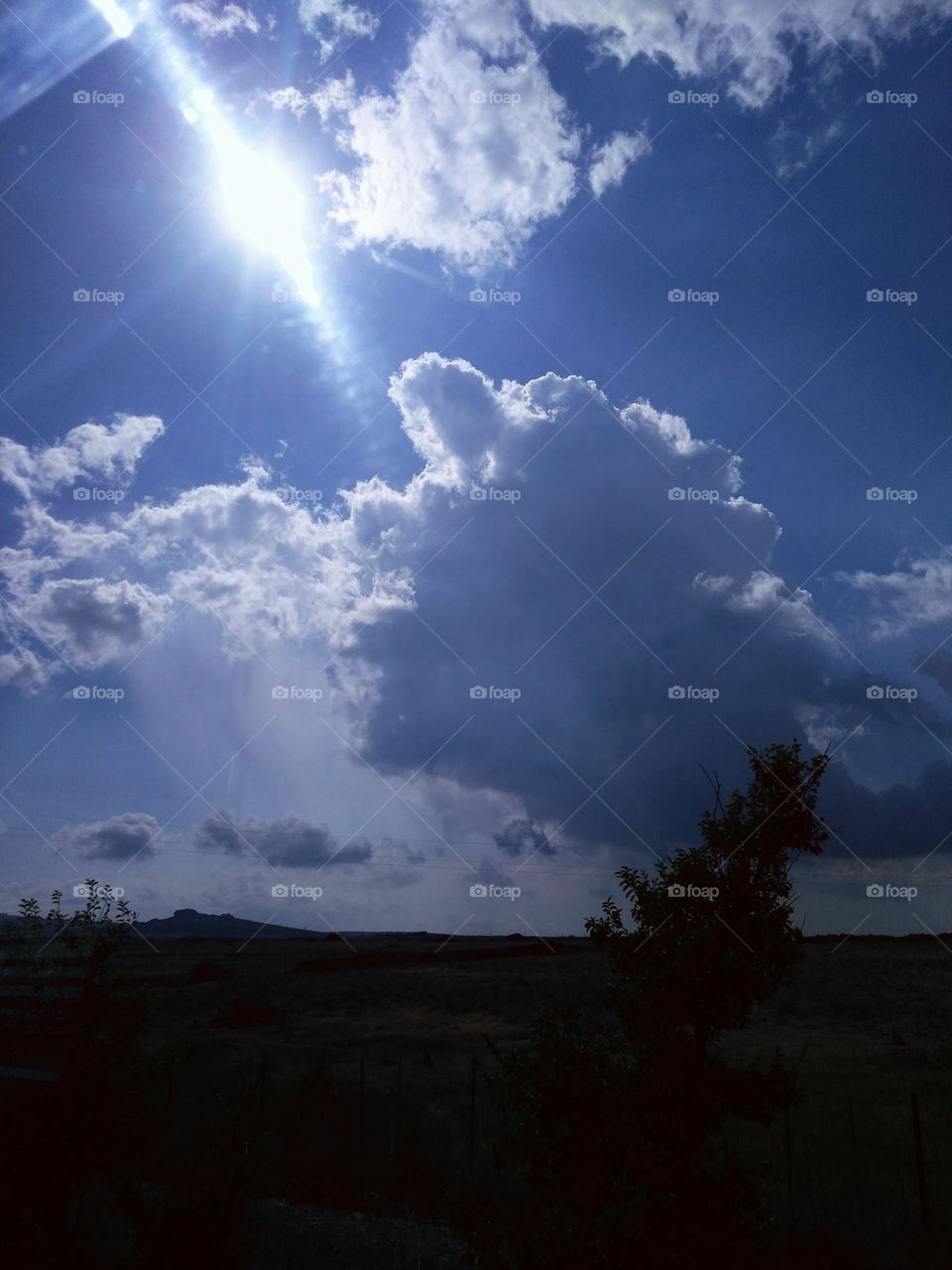 Editors' Choice: Photo of the Week