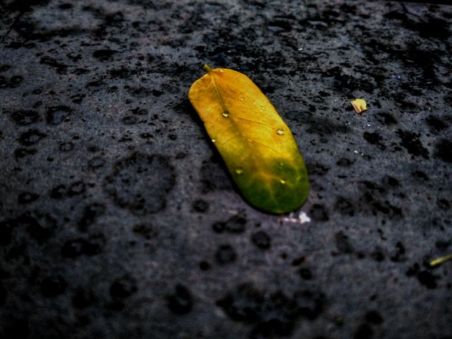 Leave