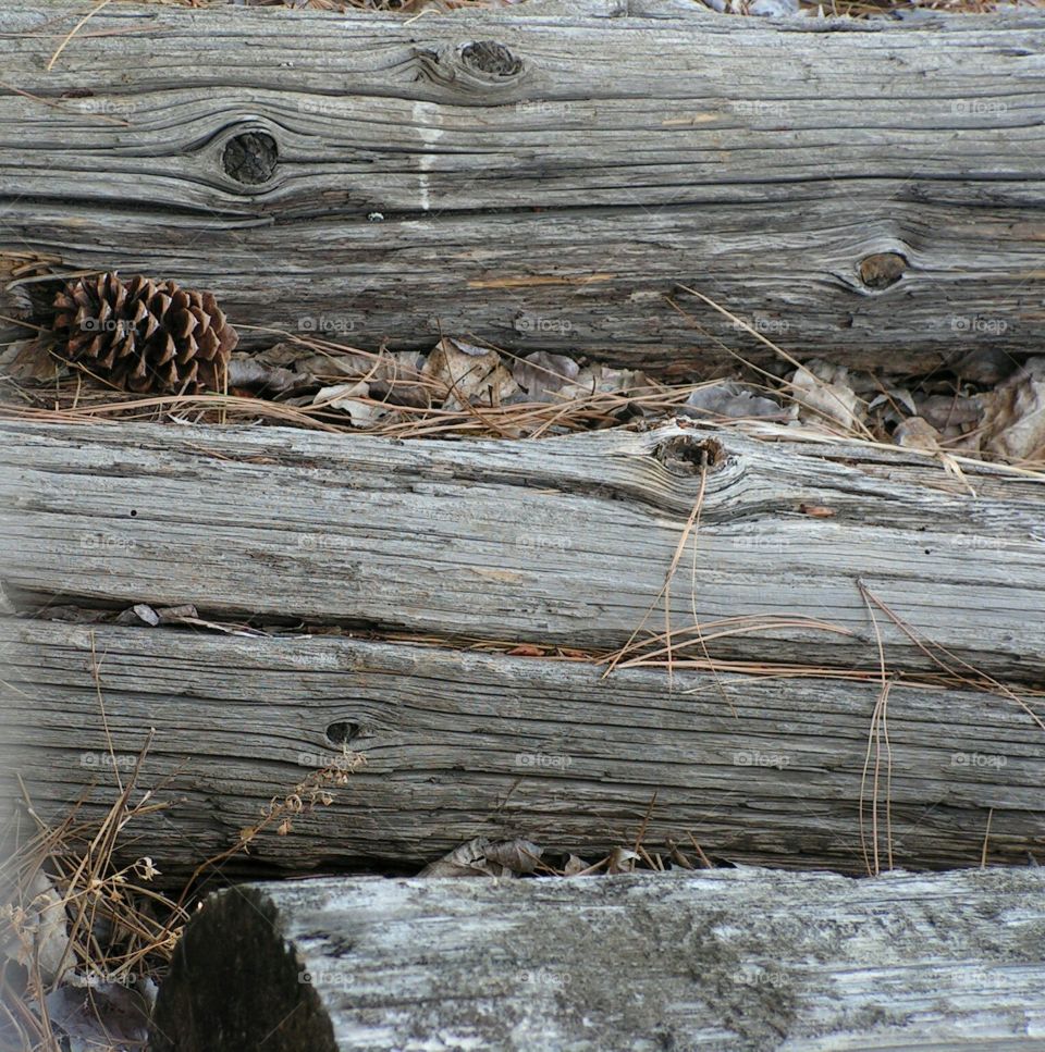 old wood with pinecone