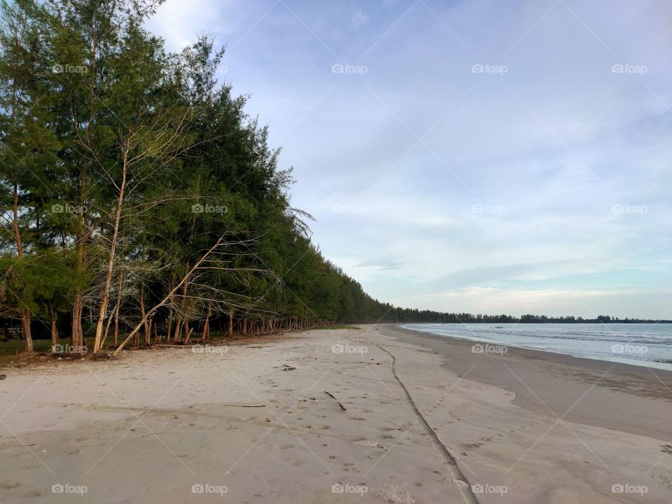 True Nature, No Filters