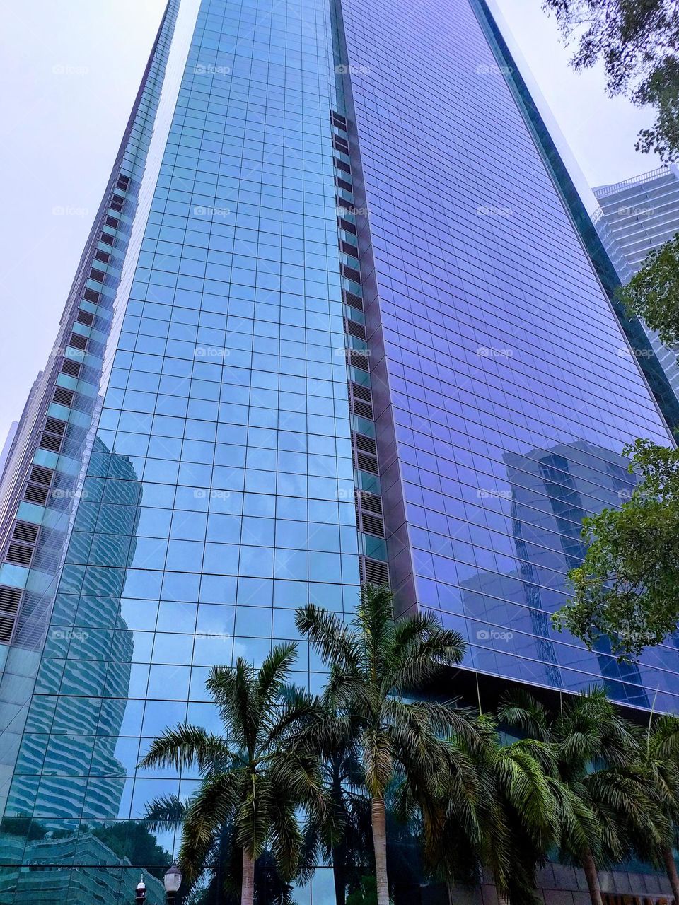 Buildings seen from the ground up