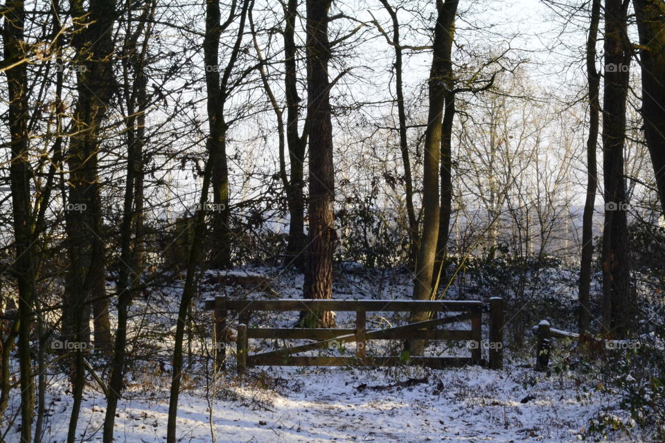 Snow landscape.. Just walking and look at it, I love these moments.