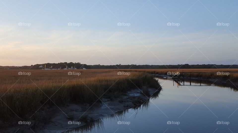 Still marsh waters in South Carolina.