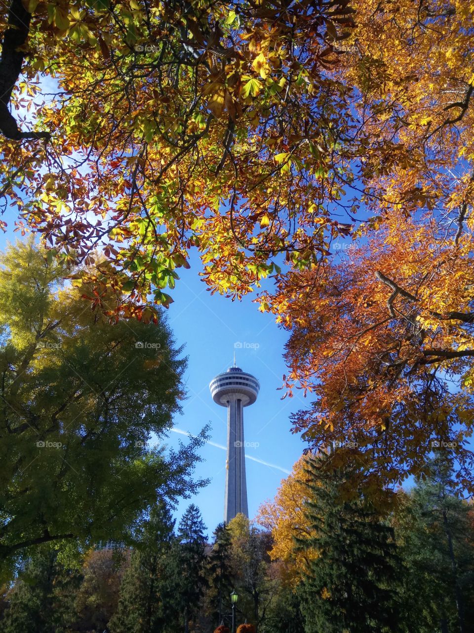 Skyline tower Niagara Falls Canada 