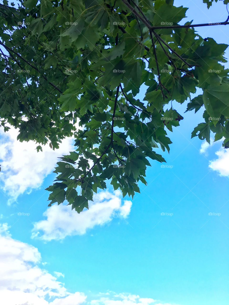 Upward view while watching soccer game