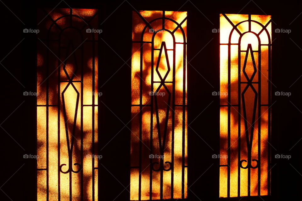 A morning-glory at my window satisfies me more than the metaphysics of books