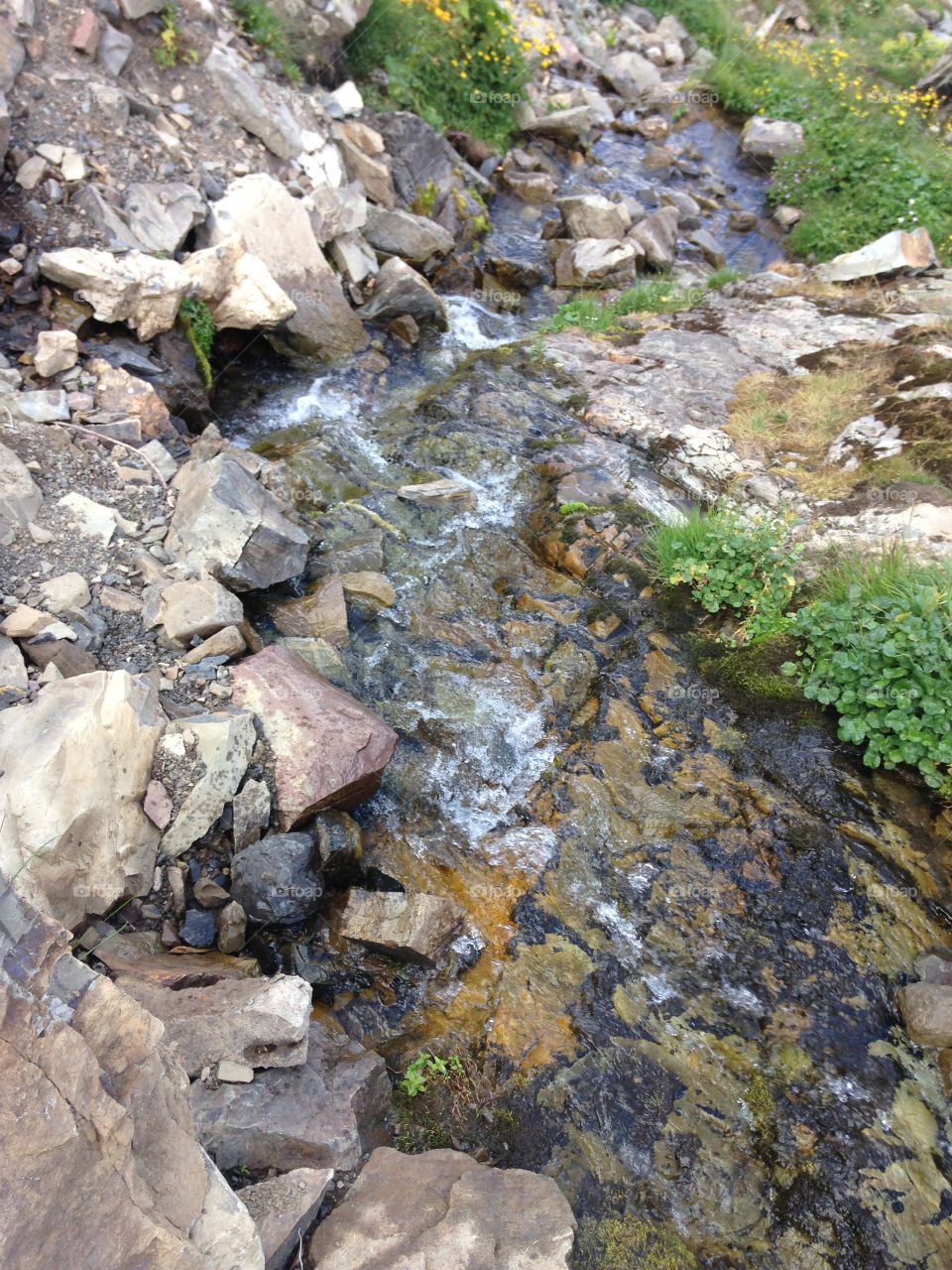 Rock, Water, Nature, Stone, Stream