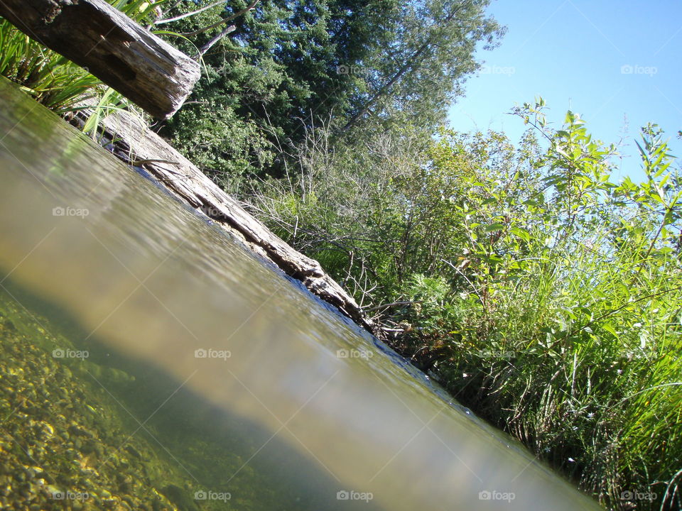 Underwater peek. Photo caught under the river and above