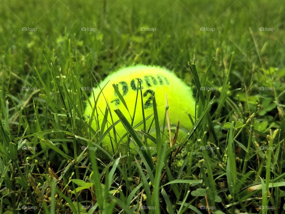 Tennis ball on grass