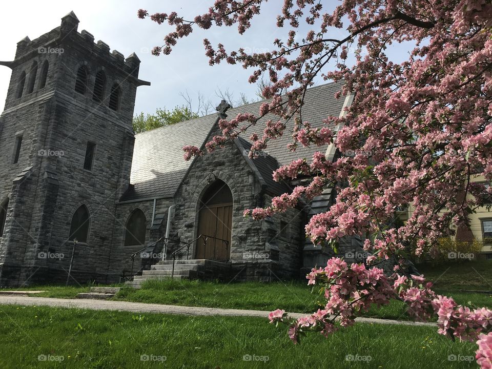 Blossoms in CT in early May