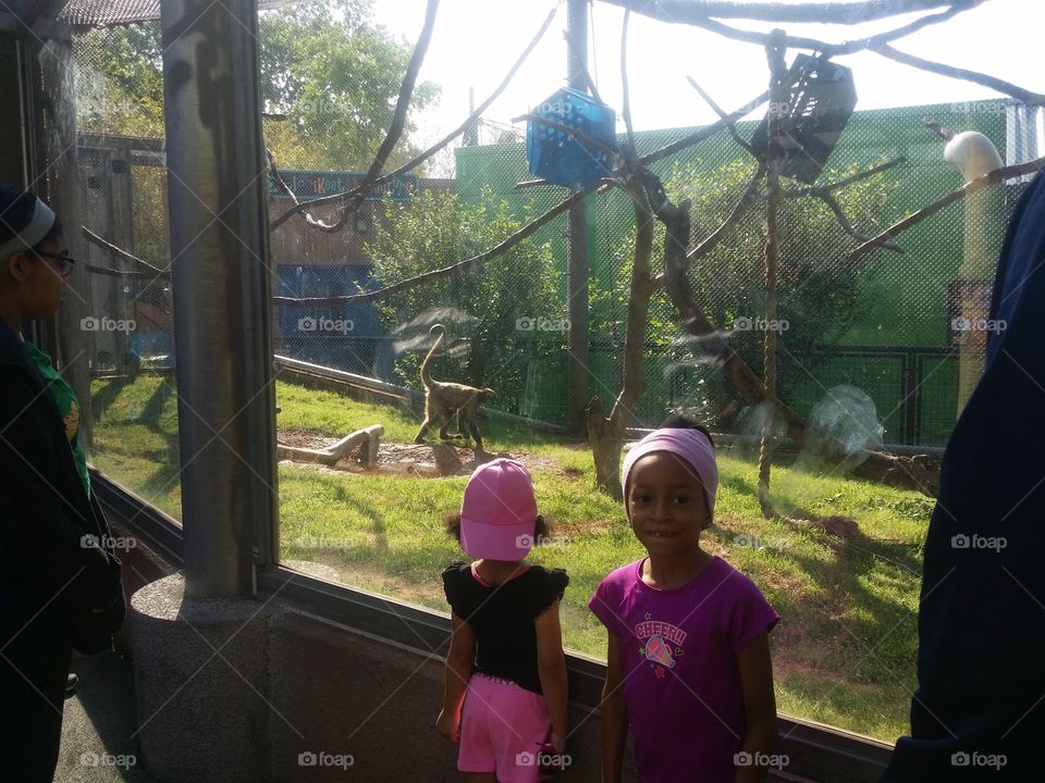 A Day At the Zoo