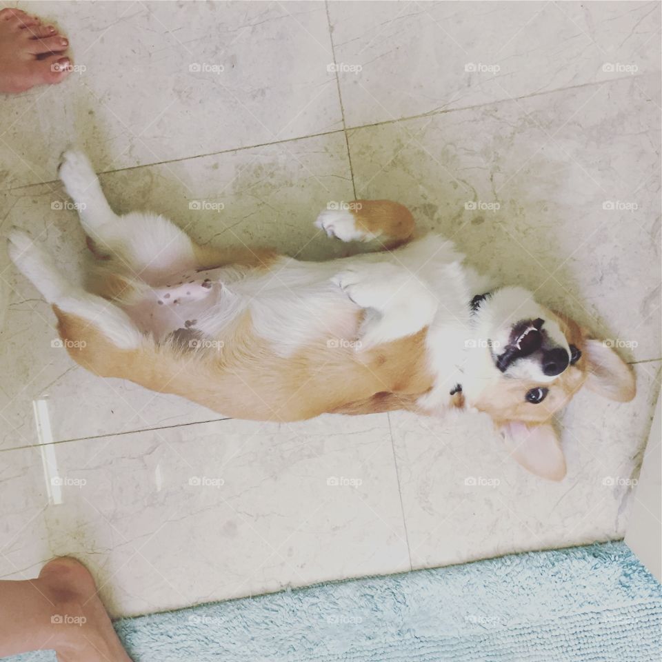 Bath time for Pascal! 