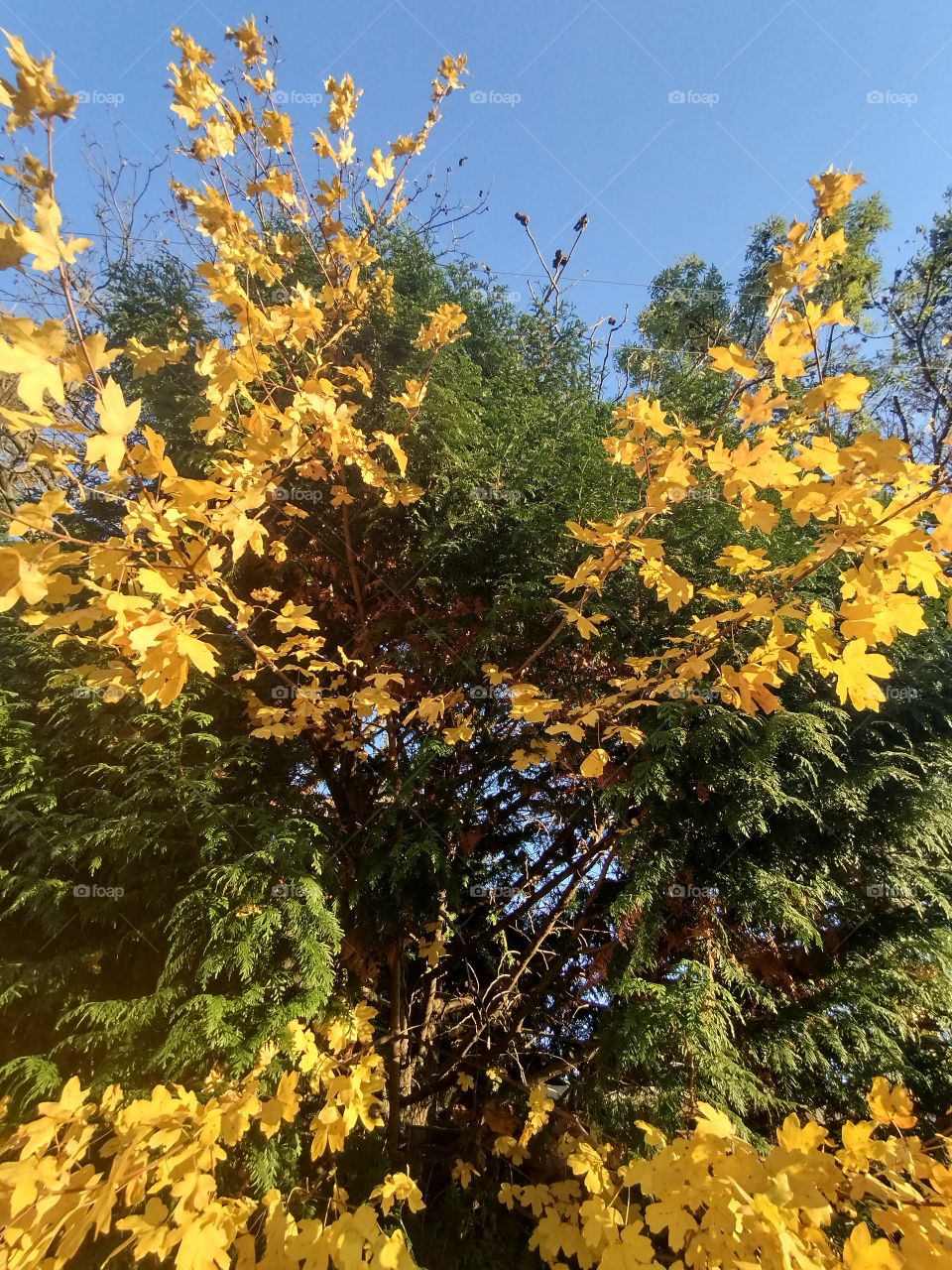 What makes you smile