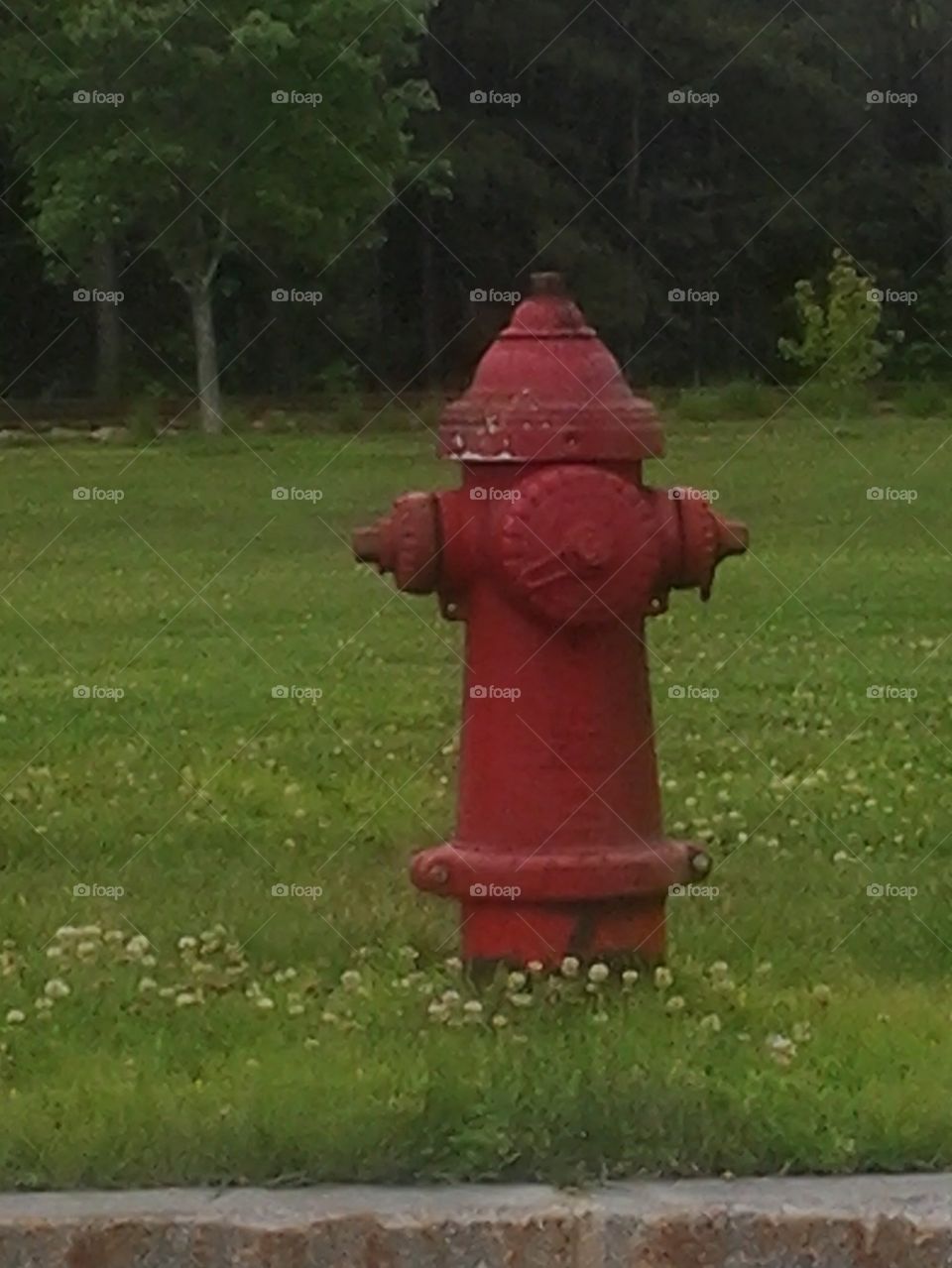 fire hydrent