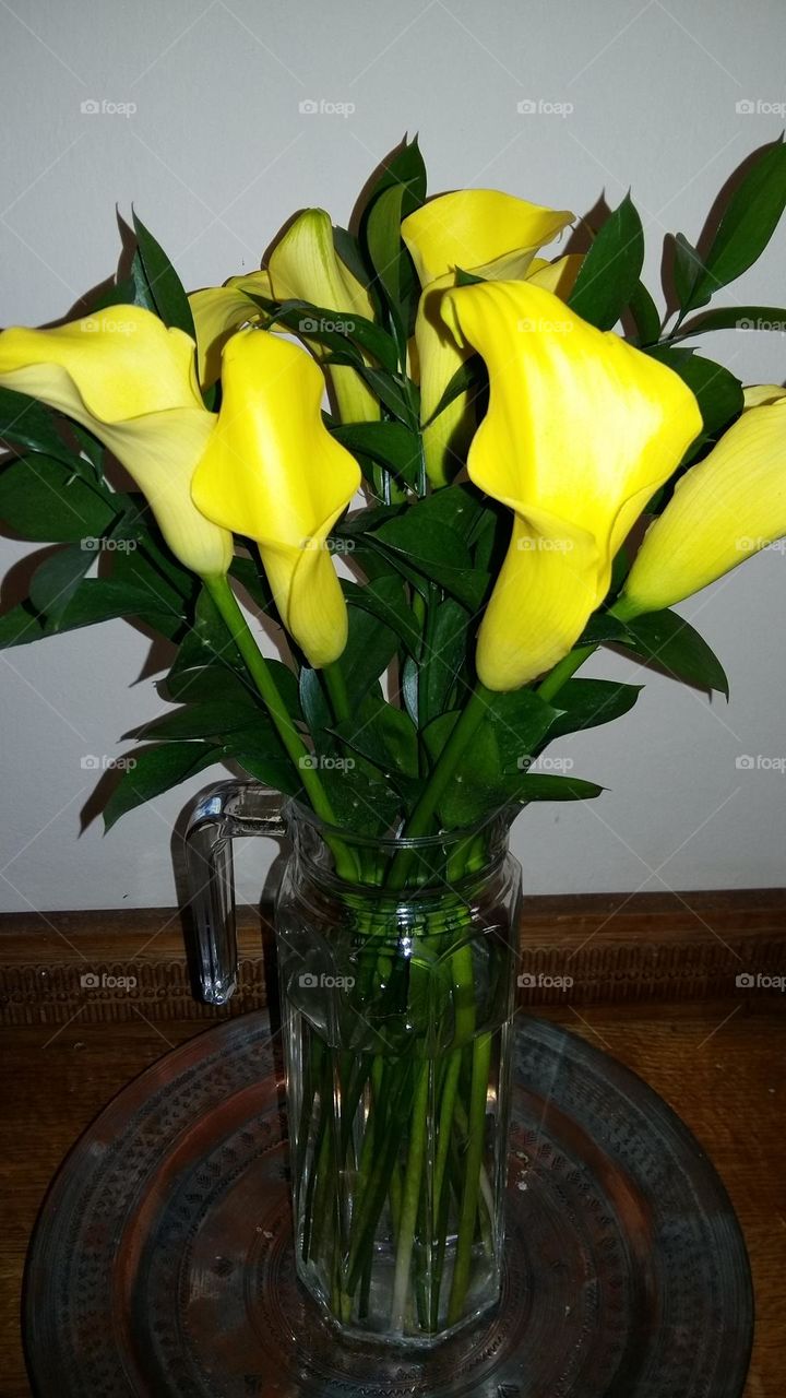 Yellow arum lillies in a vase
