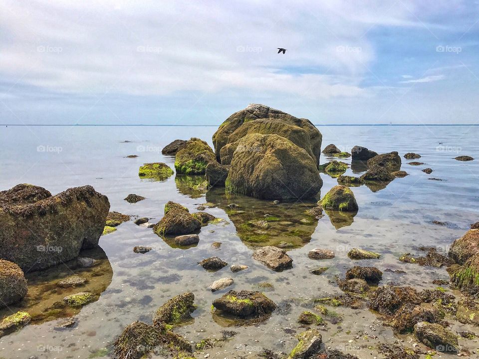 Sherwood Island State Park