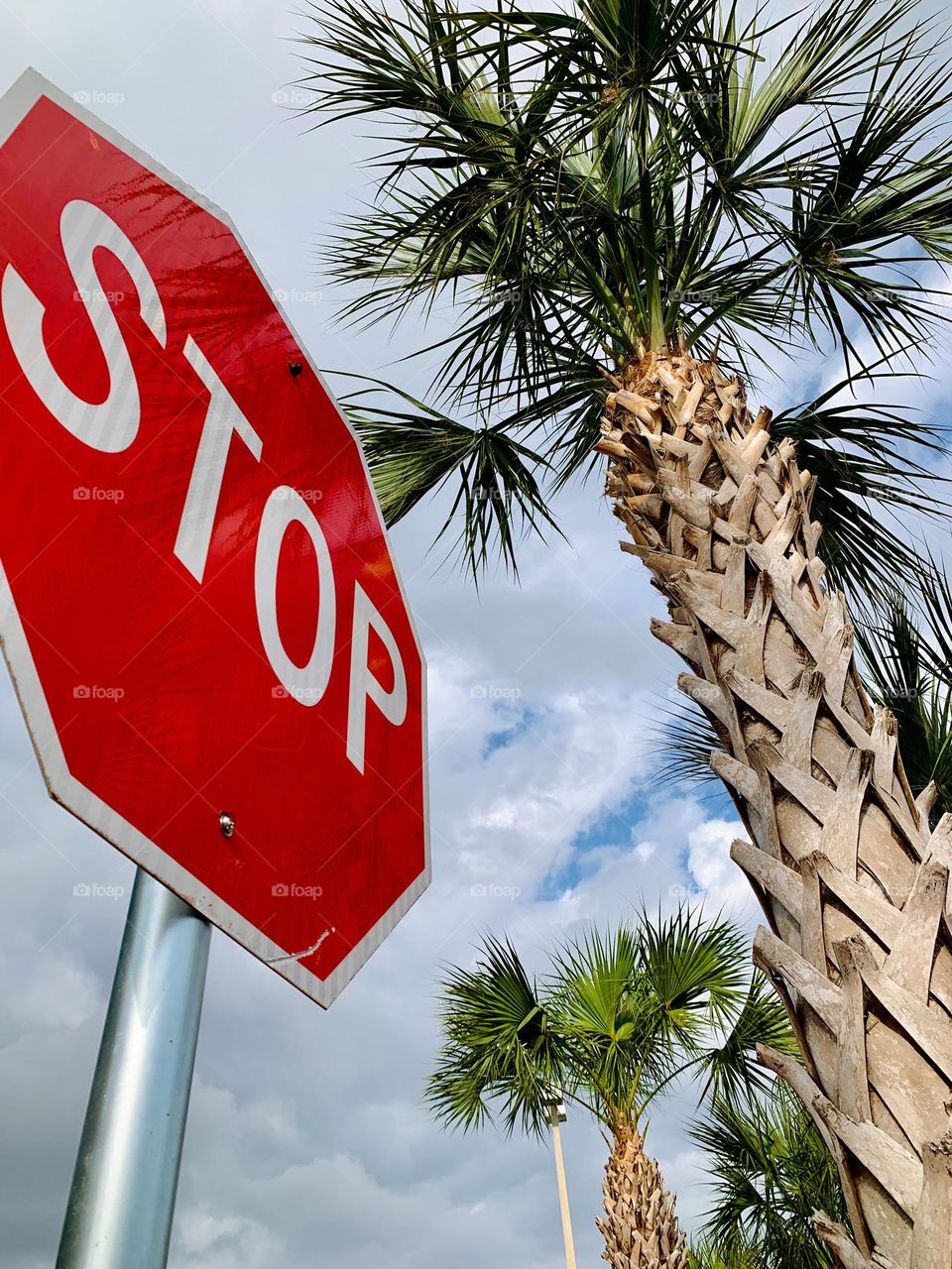 Palm Trees Reflecting On The Stop Sign On A Cloudy Day In The City. 