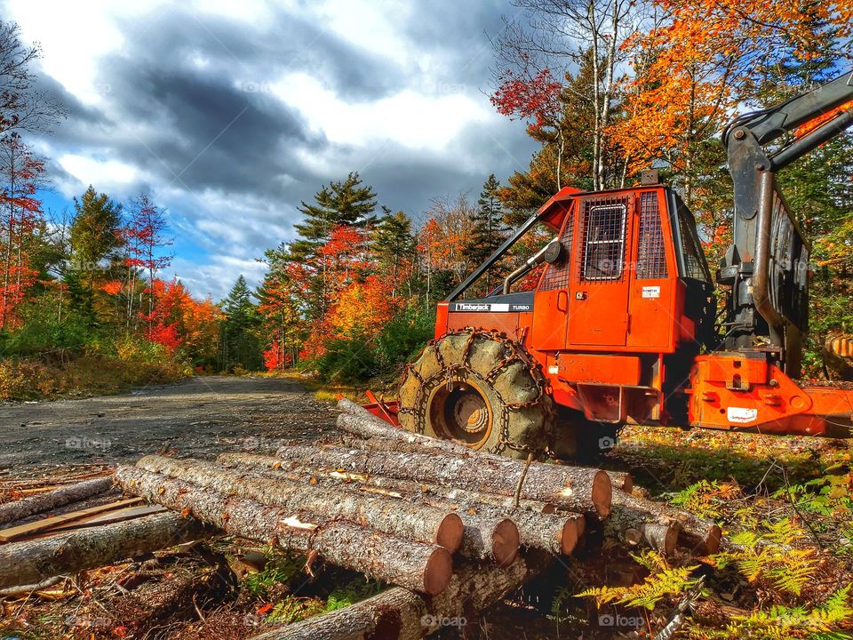 Urban vs. Rural:
Logging in the country.