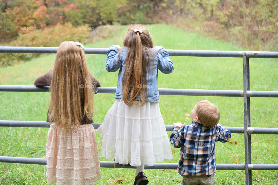 Children looking through bars of a gate into a green field