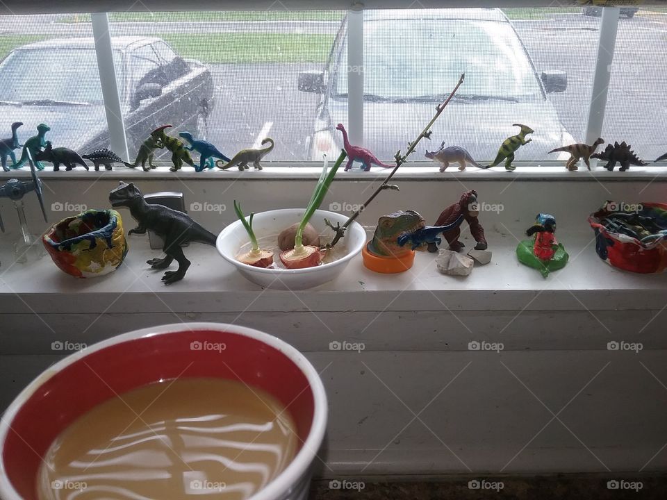 morning view. coffee & dinosaurs.