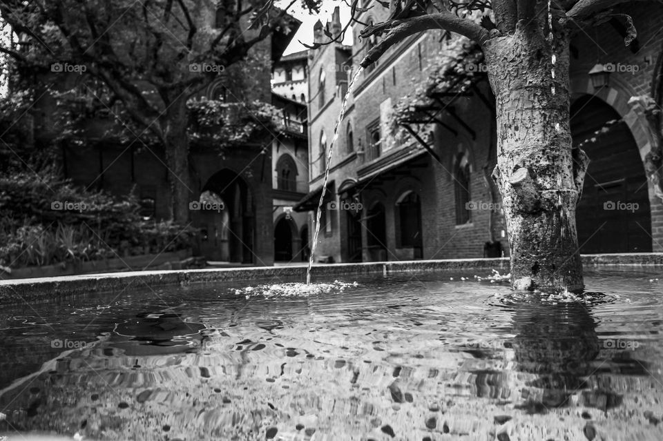 Wish fountain! One penny for a wish! 🤫 ❤️