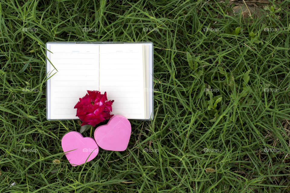 natural book and rose