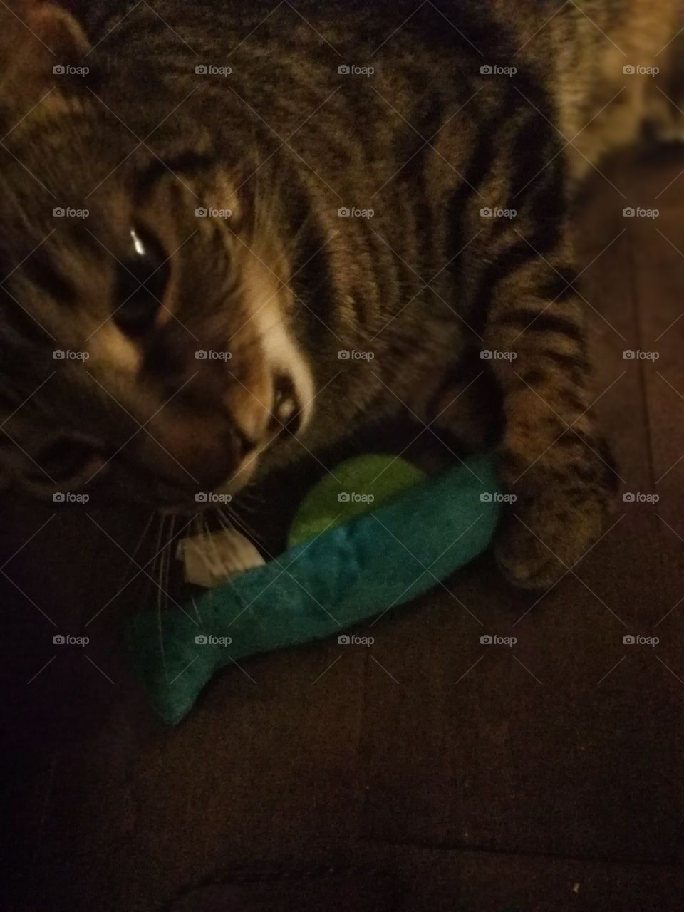 My toy mom not my brother's