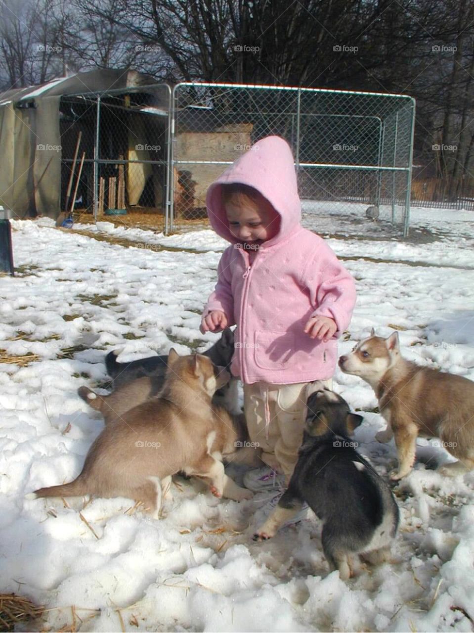 Child, People, Dog, Two, Woman