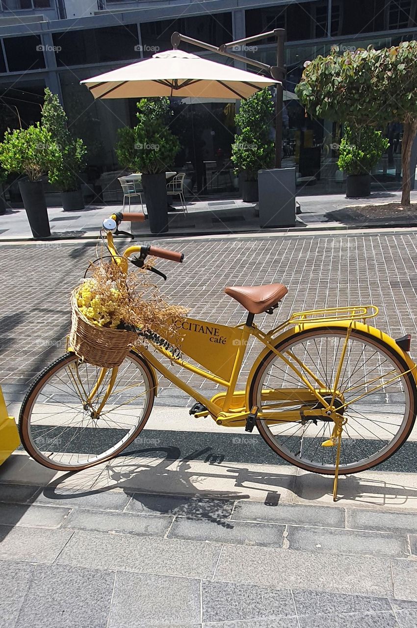 Yellow 💛 bicycle 🚲 💛