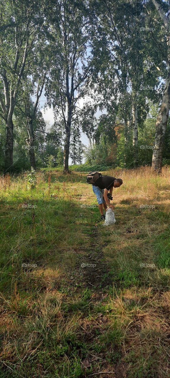 People on a walk with dogs