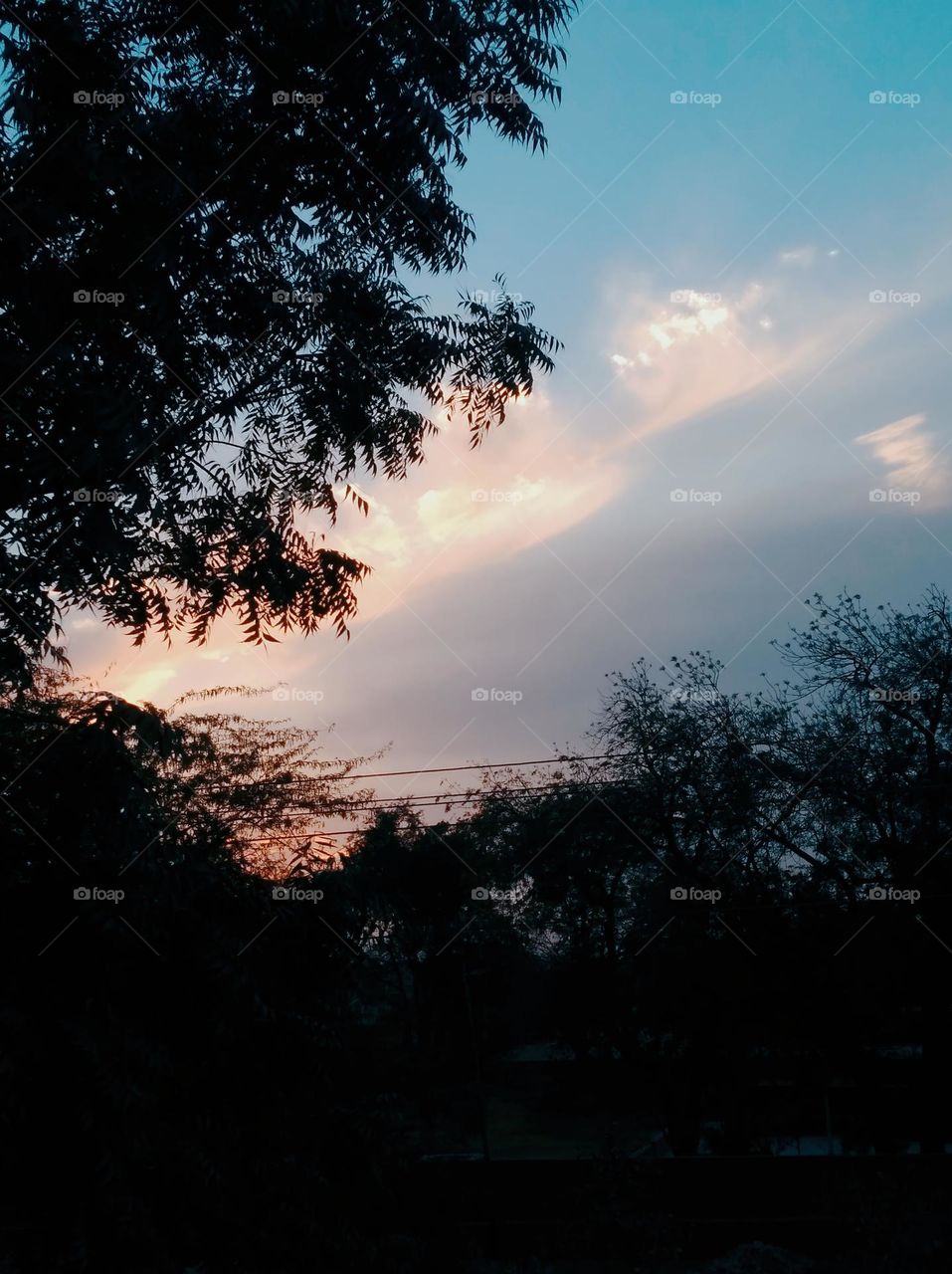 Sun set scene sun sky whitish yellowish pattern looking very beautiful green leaves dark tree clouds scattered