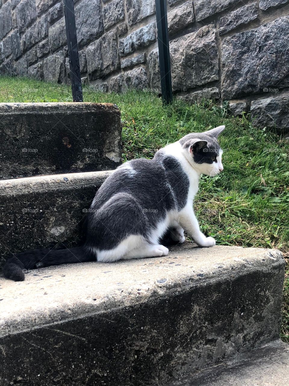 Thanks for your support! 