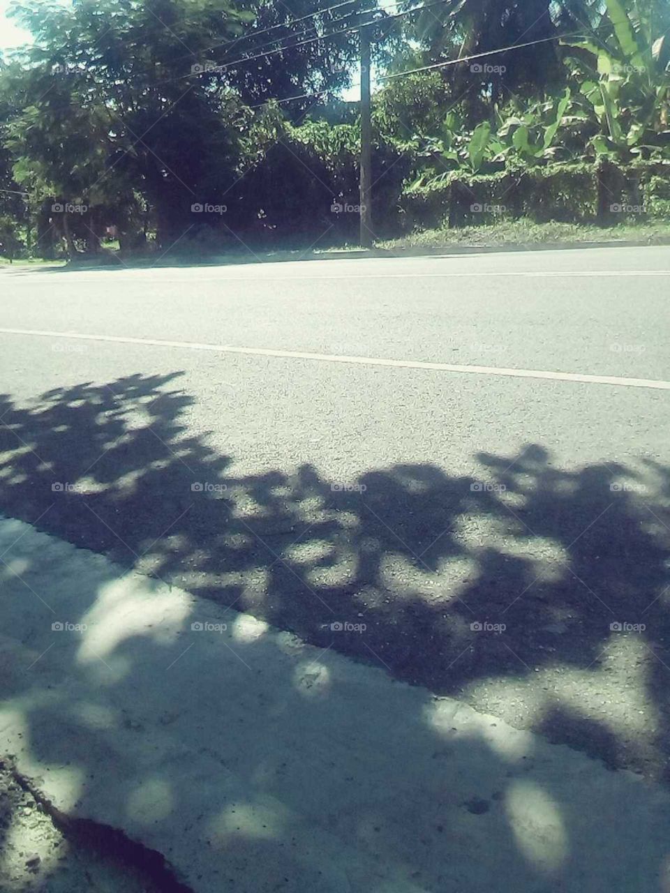 do you have wondered why the white line is in middle of the road  will this white line tell you you should not over take.