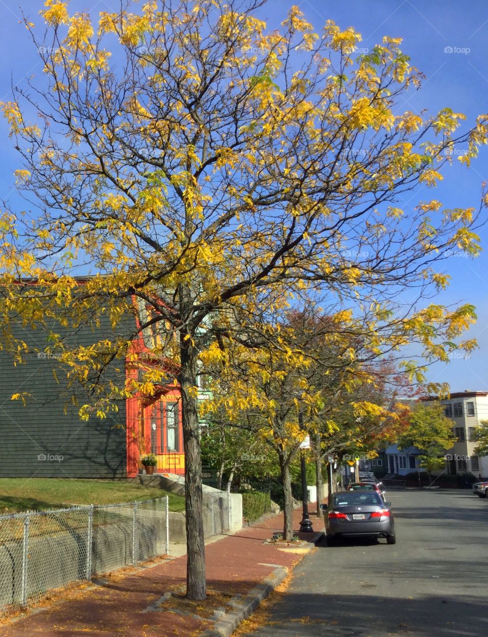 Homes in the city during autumn 