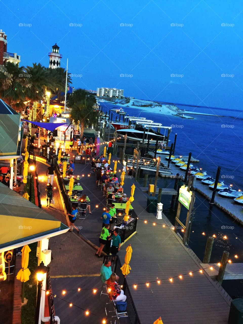 Bird's view of the Gulf of Mexico 