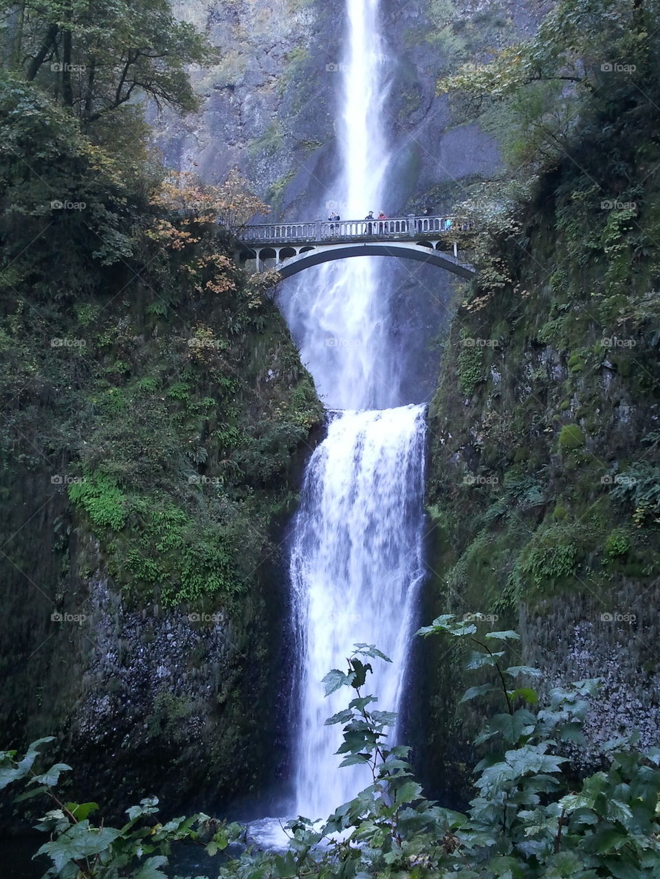 Multnomah falls