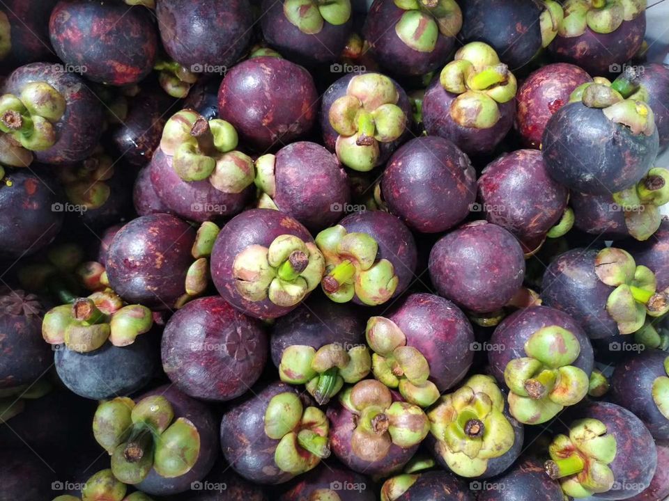 mangosteen