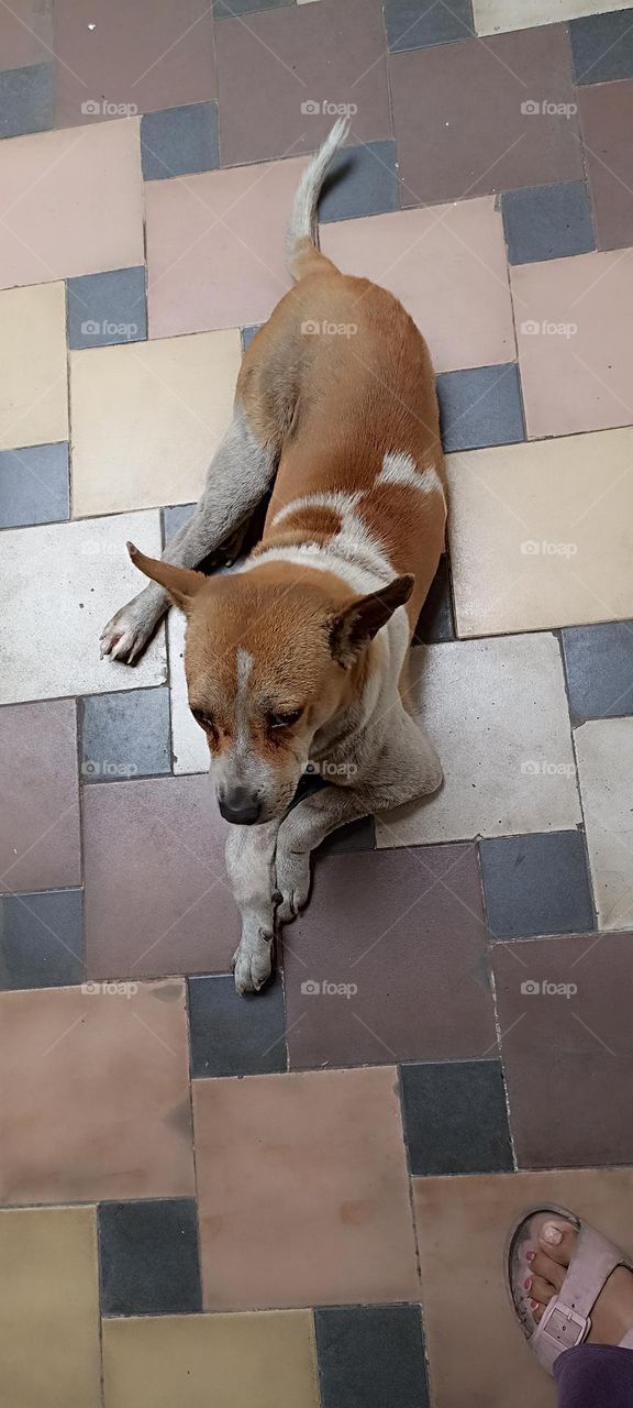 look my eyes are crying please don't feel bad I will be better today and will play.