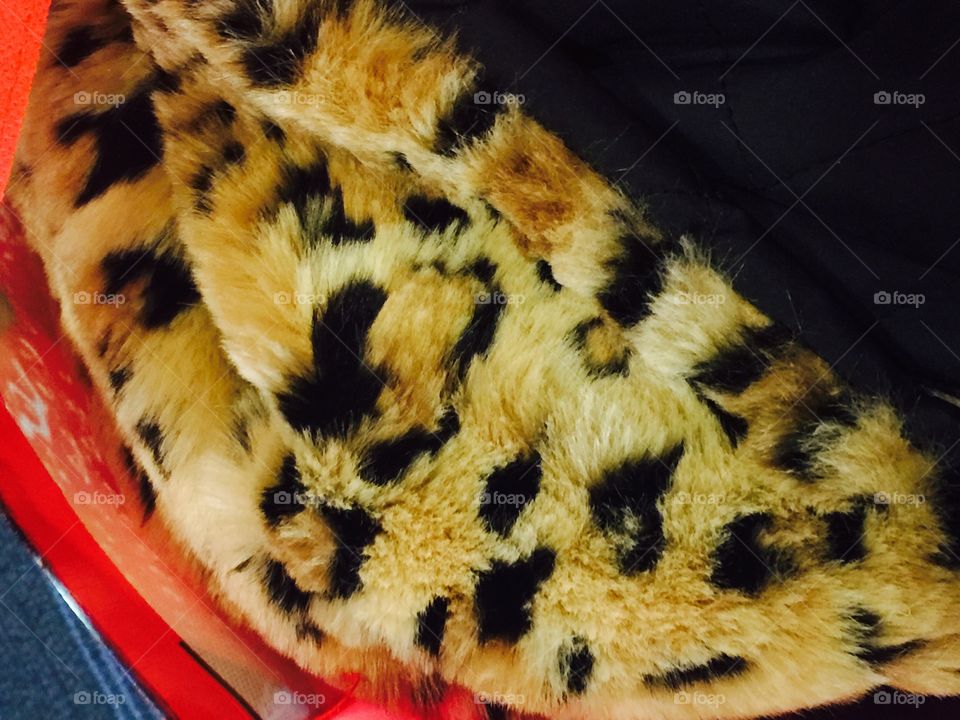 Cheta pattern  blanket