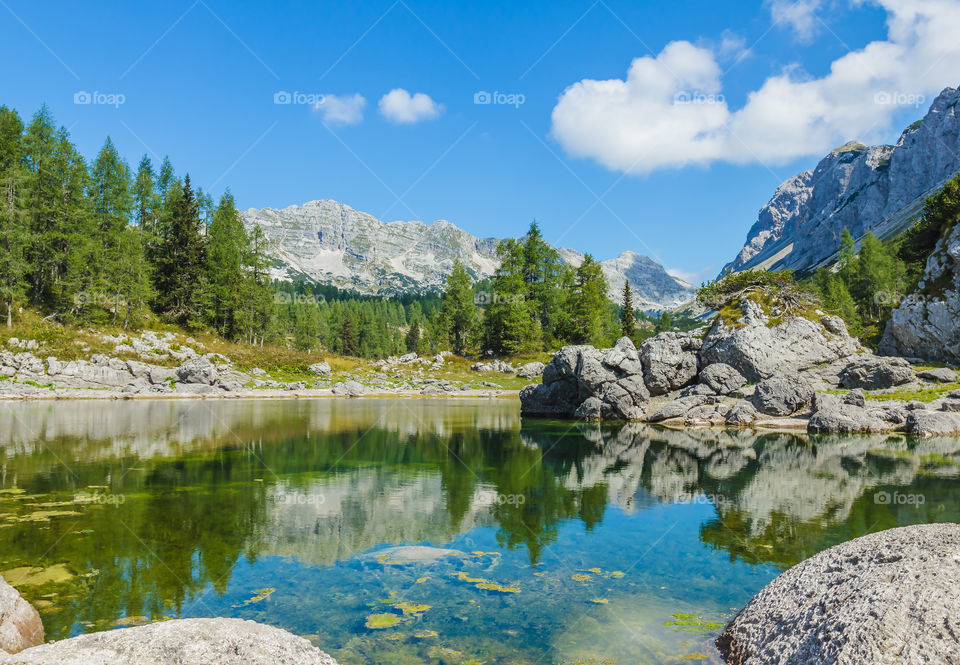 Reflection of mountain and tree in lake