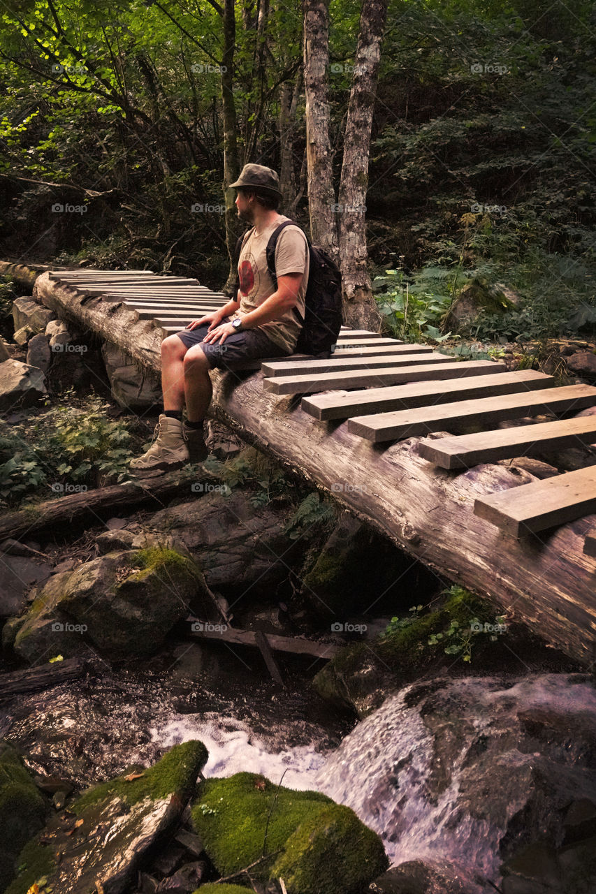 exploring wild forest