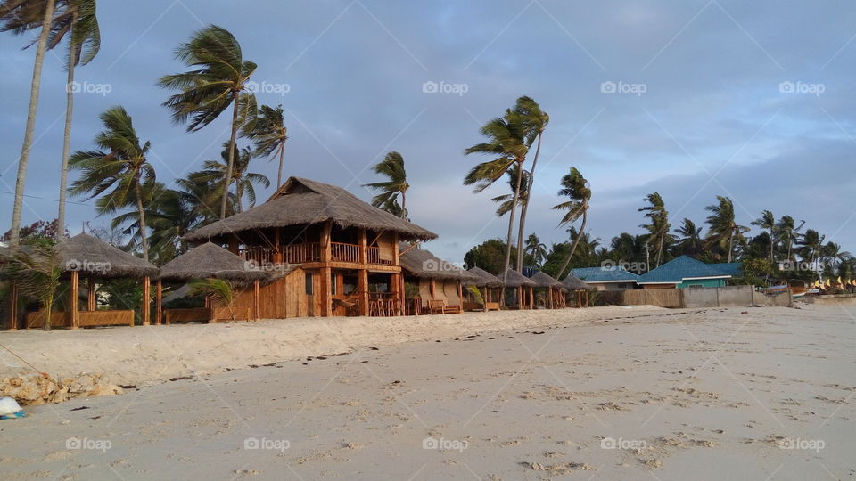 Beach, Palm, Hut, Tropical, Sand