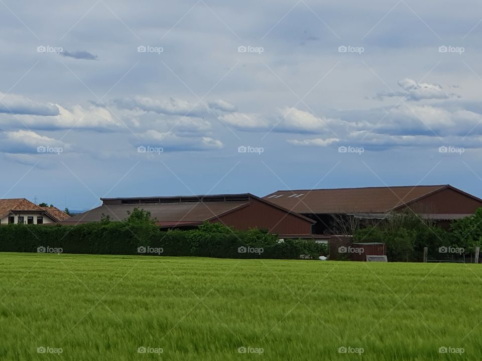 Landscape, Landschaft, Idylle,