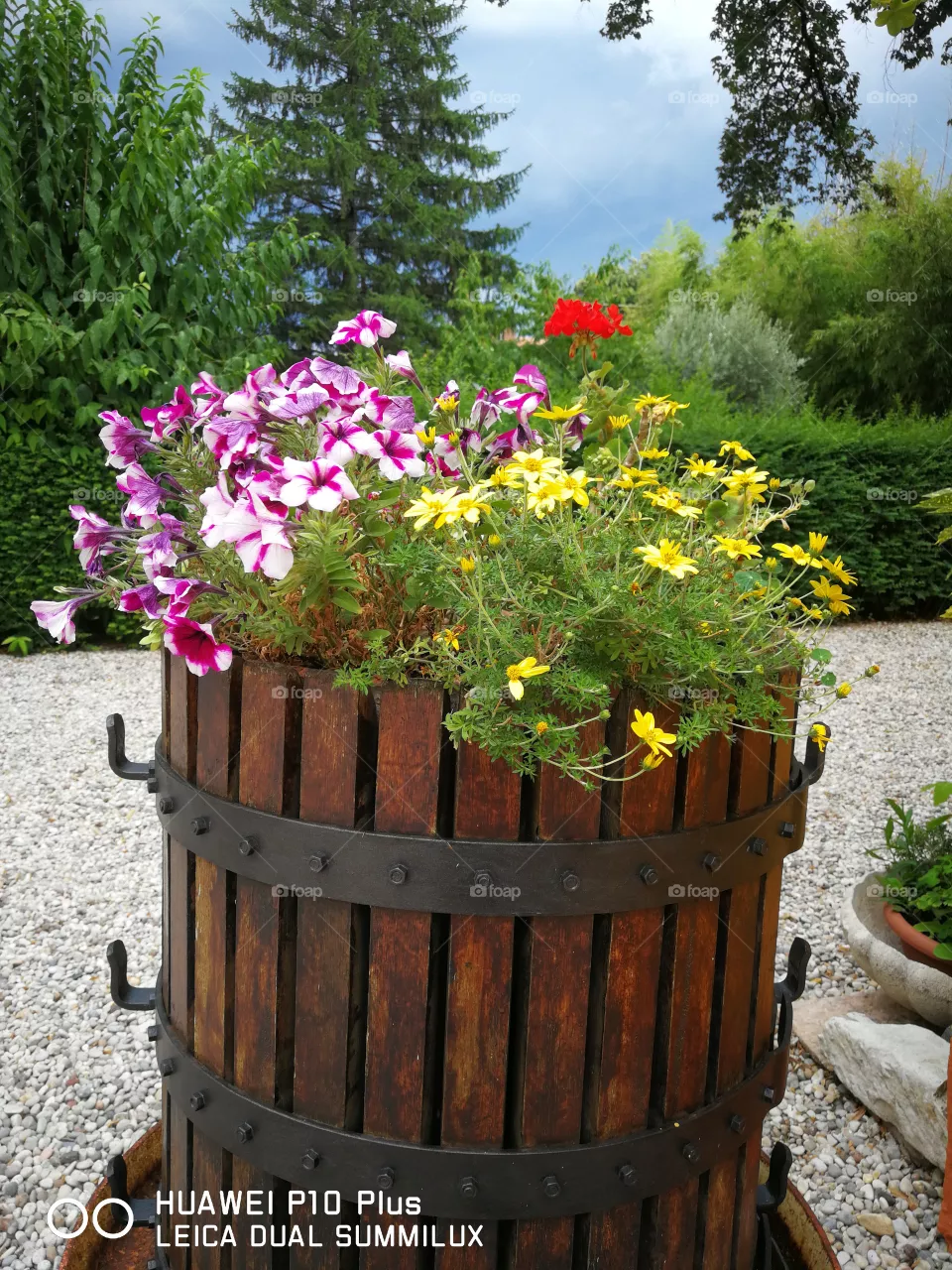 Vaso