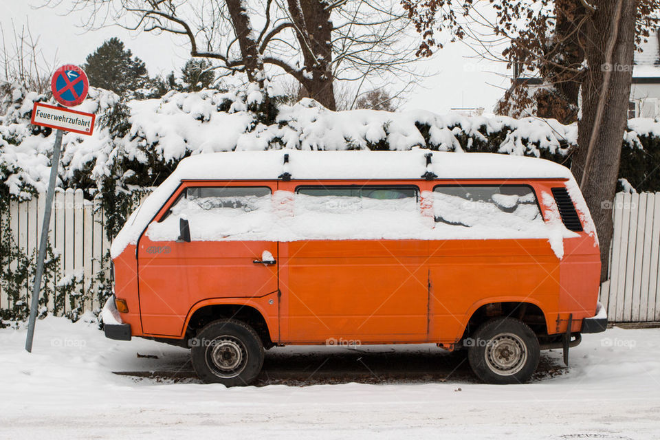 Orange and white 