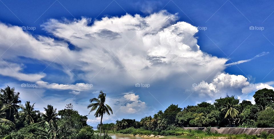 Look deep into nature, and then you will understand everything better.